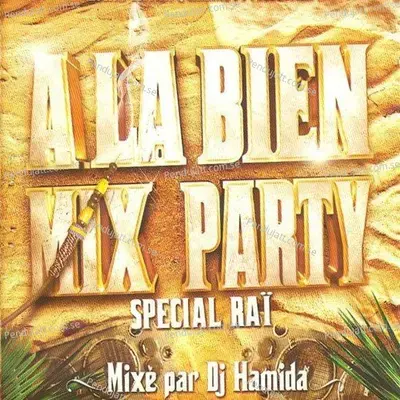 A La Bien Mix Party  29 Hits Ra   Mix  s Par Dj Hamida  - Various Artists cover album