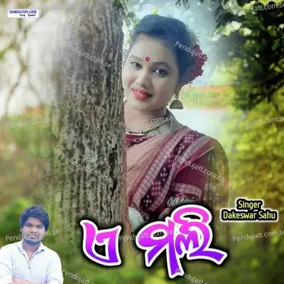 A Mali - Dakeswar Sahu album cover 