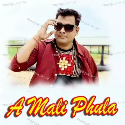 A Mali Phula - Shantanu Sahu album cover 