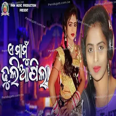 A Mamu Dholiapila - Rinki Bag album cover 