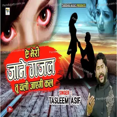 A Meri Jaane Gazal Tu Chali Jaayegi Kal - Tasleem Asif album cover 