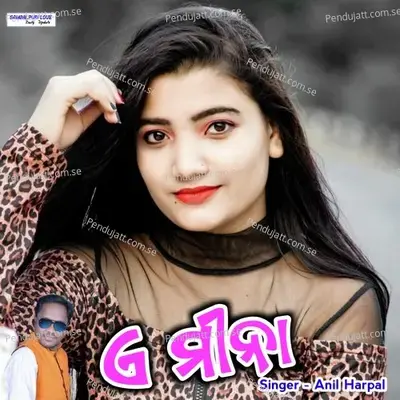 A Mina - Anil Harpal album cover 