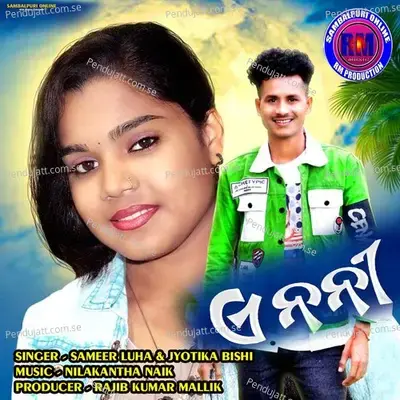 A Nani - Sameer Luha album cover 