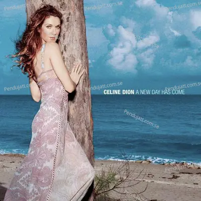 Prayer - Celine Dion album cover 