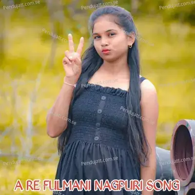 A Re Fulmani Nagpuri Song - Ajit Babu album cover 