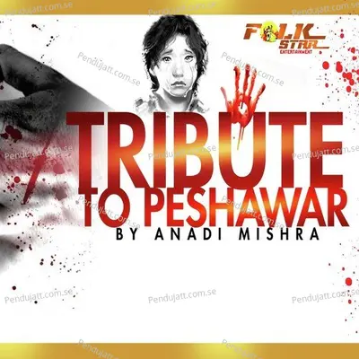 A Tribute To Peshawar - Anadi Mishra album cover 