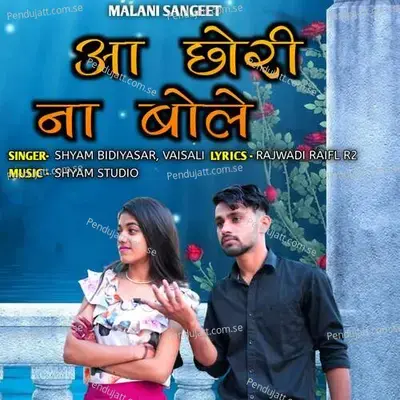 Aa Chhori Na Bole - Shyam Bidiyasar album cover 
