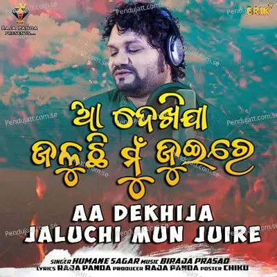 Aa Dekhija Jaluchi Mun Juire - Humane Sagar