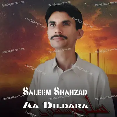 Aa Dildara - Saleem Shahzad album cover 