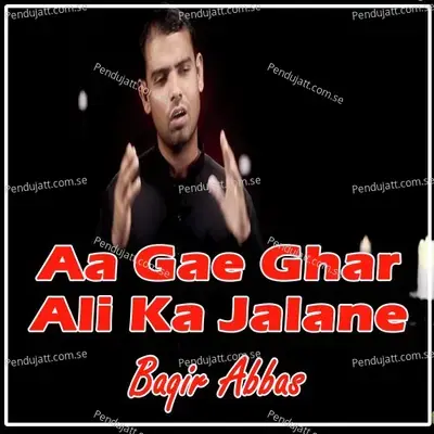 Aa Gae Ghar Ali Ka Jalane - Baqir Abbas album cover 