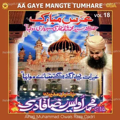 Kheraat Lene Aa Gaye - Alhajj Muhammad Owais Raza Qadri album cover 