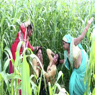 Aa Jaiha Let Se Makai Ke Khet Me - Pradeep Majanuaa Beby Raj album cover 