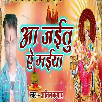 Aa Jaitu Ye Maiya - Anil Kumar album cover 