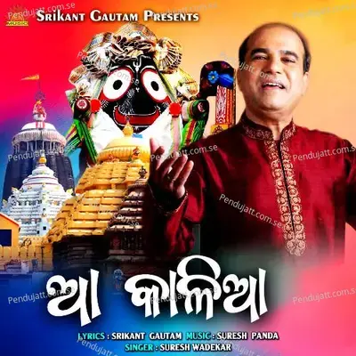 Aa Kalia - Suresh Wadekar album cover 