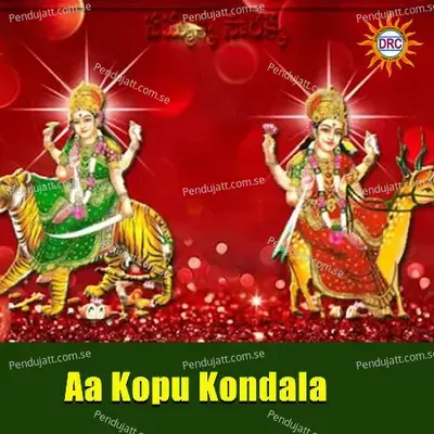Aa Kopu Kondala - Anil Kumar album cover 