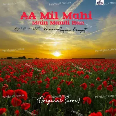 Aa Mil Mahi Main Mandi Han - Amjad Hassan RJP album cover 