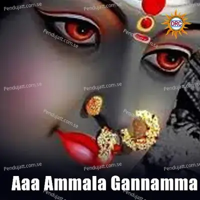 Aaa Ammala Gannamma - Warangal Shankar album cover 