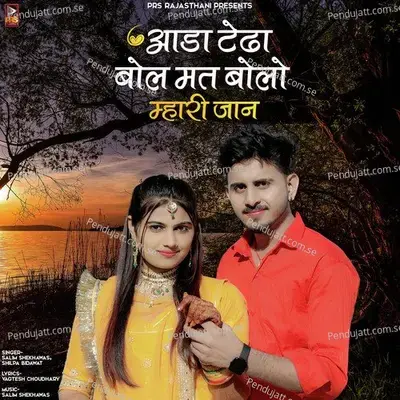 Aada Tedha Bol Mat Bolo Mhari Jaan - Salim Shekhawas album cover 