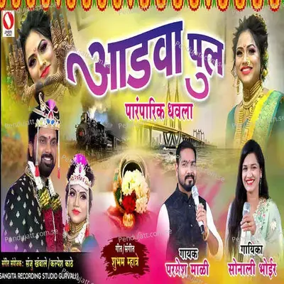 Aadava Pul - Sonali Bhoir album cover 