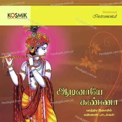 Aadinaye Kanna - Songs On Lord Krishna Instrumental - Oothukadu Venkata Subbaiyer cover album