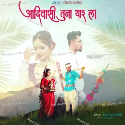 Aadiwasi Tuna Yaar La - Bhaiya More album cover 