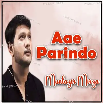 Aae Parindo - Muntazir Mirza album cover 