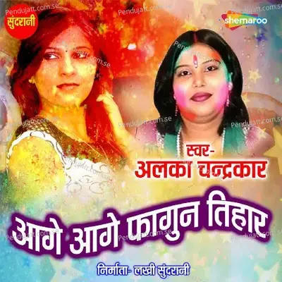 Aage Aage Fagun Tihar - Alka Chandrakar album cover 