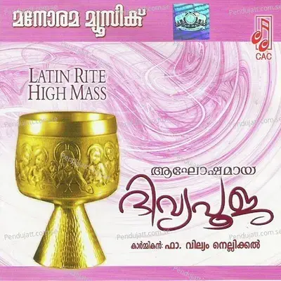 Thinmakal Sarvavum - Francis album cover 