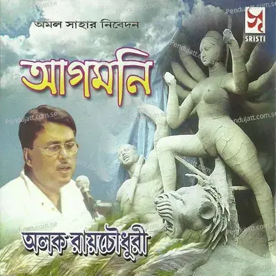 Janani Tomar - Alok Roy Chowdhury album cover 