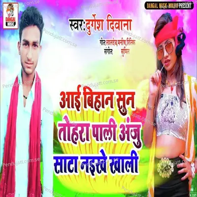 Aaib Bihan Sun Tohar Pali Aaju Sata Naikhe Khali - Durgesh Diwana album cover 