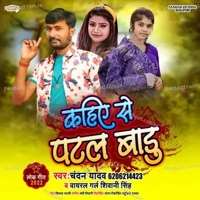Aaj Bhar Dhil Da Dhodi Jan Chhil Da - Shivani Singh album cover 