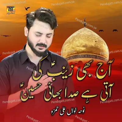 Aaj Bhi Zainab Ki Aati Hai Sada Bhai Hussain - Ali Hamza album cover 