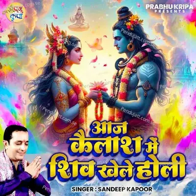 Aaj Kailash Me Shiv Khele Holi - Sandeep Kapoor album cover 