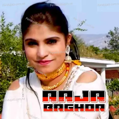 Aaja Baghor - Aslam Singer Mewati album cover 