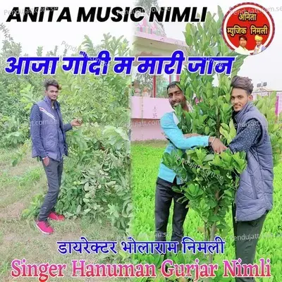 Aaja Godi M Mari Jaan - Hanuman Gurjar Nimli album cover 