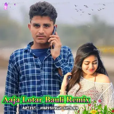 Aaja Lotar Bauli - Harisingh dholan album cover 