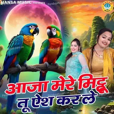 Aaja Mere Mitthu Tu Aish Kar Le - Annu Sharma album cover 