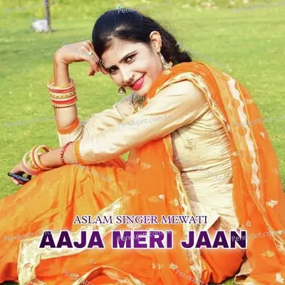 Aaja Meri Jaan - Aslam Singer Mewati album cover 