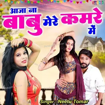 Aaja Na Babu Mere Kamre Mein - Neetu Tomar album cover 