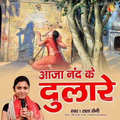 Aaja Nand Ke Dulare - Lata Saini album cover 