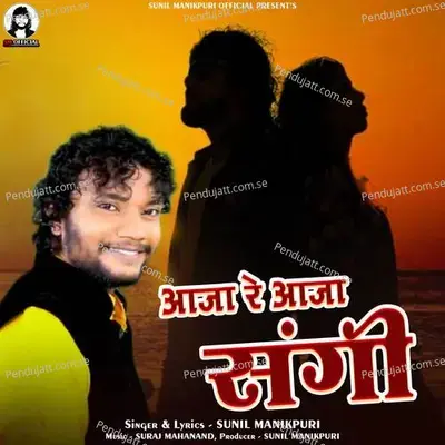 Aaja Re Aaja Sangi - Sunil Manikpuri album cover 