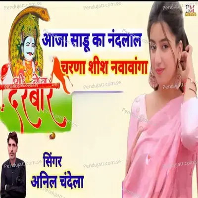 Aaja Sadu Ka Nandlal Chanrna Shish Navavanga - Anil Chandela album cover 