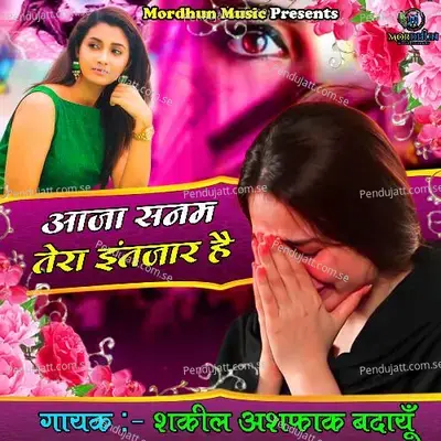 Aaja Sanam Tera Intzaar Hai - Shakeel Ashfaq Badayu album cover 