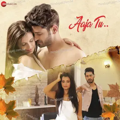 Aaja Tu - Harman Nazim album cover 