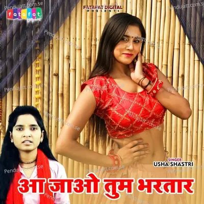 Aajao Tum Bhartar - Usha Shastri album cover 