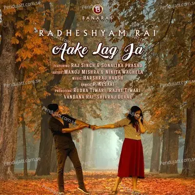 Aake Lag Ja - Radheshyam Rai album cover 