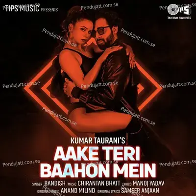 Aake Teri Baahon Mein - Bandish Vaz album cover 