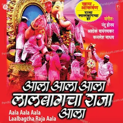 Gulal Bagha Udhlito - Ziniya Roy album cover 