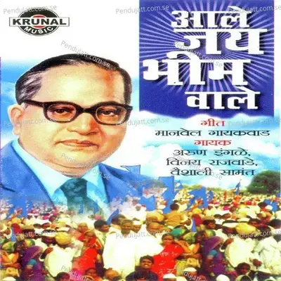 Bhimachya Krupen Buslet Khurchivar - Vinay Rajwade album cover 