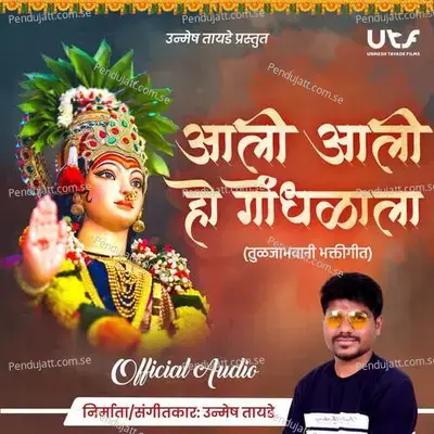 Aali Aali Ho Gondhalala - Unmesh Tayade album cover 